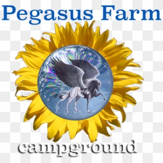 Pegasus Farm Campground - Pegasus, HD Png Download