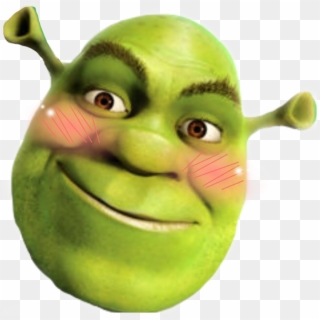 Shrek Sticker - Shrek Memes, HD Png Download - 1024x689(#50622) - PngFind