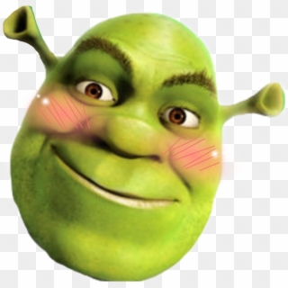 Shrek PNG transparent image download, size: 850x667px