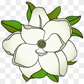 Louisiana Clip Art Free - Mississippi State Flower Png, Transparent Png