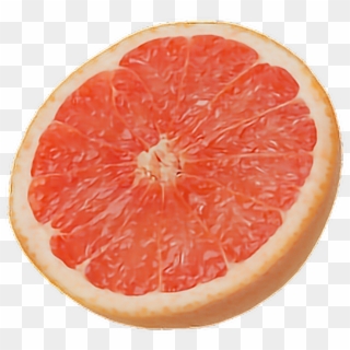 Grapefruit Fruit Tumblr - Grapefruit Transparent Background, HD Png Download
