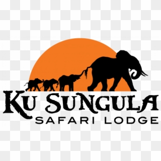 Ku Sungula Safari Lodge - Flor De Esgueva, HD Png Download