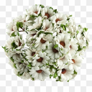 50 White Mulberry Paper Chrysanthemums - Bouquet, HD Png Download