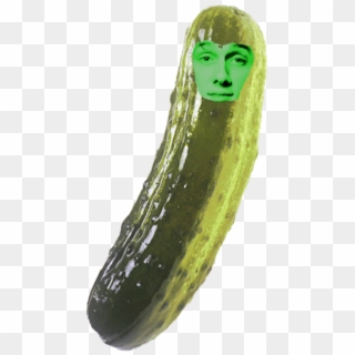 I Turned Myself Into A Pickle Ryan, I'm Pickle Matt - Pickle, HD Png Download