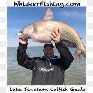 Lake Tawakoni Fishing Guide - Pull Fish Out Of Water, HD Png Download