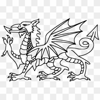 Outline Vector Dragon - St Davids Day Colouring, HD Png Download