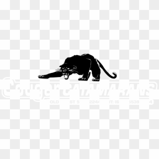 Cougar Catamarans Logo Black And White - Illustration, HD Png Download