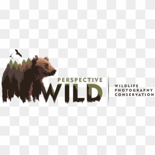 Wildlife Photography Logo Png , Png Download - Wild Photography Logo, Transparent Png