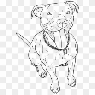 Pitbull PNG Transparent For Free Download - PngFind