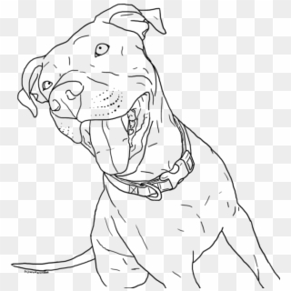Cute Baby Pitbull Coloring Page - Drawing Of Baby Pitbull, HD Png Download