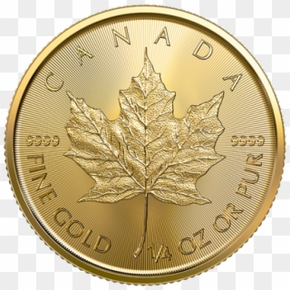 Picture Of 2019 1/4 Oz Canadian Gold Maple Leaf - Canadian Gold Maple Leaf, HD Png Download