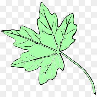 Green Maple Leaf Png, Transparent Png