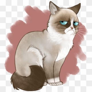 Angry Cat Png Image Background, Transparent Png