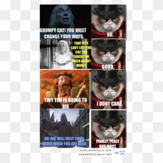 Grumpy Cat You Must Change Your Ways No That Nice Lady - Grumpy Cat Car Meme, HD Png Download