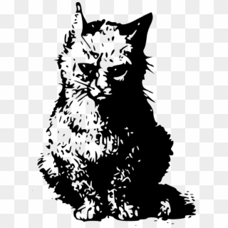 Persian Cat Kitten Grumpy Cat Pet Line Art - Wanted Schrodinger's Cat, HD Png Download