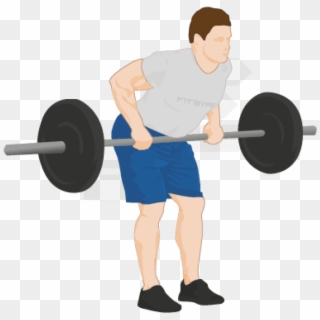 Download Bent Barbell Clipart Png Photo - Barbell Row Png, Transparent Png