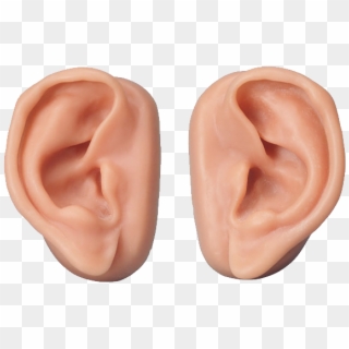 Ear Png - Human Ear Transparent Background, Png Download
