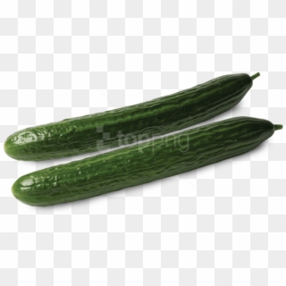 Cucumbers Png Hd - Concombre Legume Vert, Transparent Png