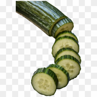 Cucumber In Slices Png Image - Variables And Control Group For Food Rots, Transparent Png
