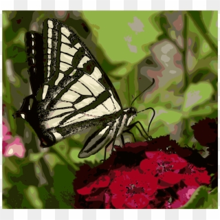 This Free Icons Png Design Of Western Tiger Swallowtail - Papilio Machaon, Transparent Png