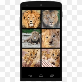 Masai Lion, HD Png Download