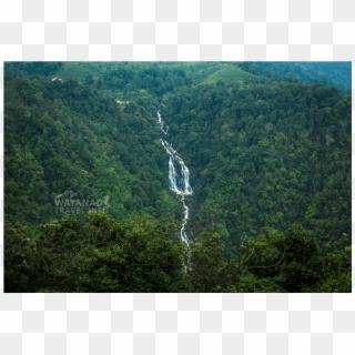 Meenmutty Waterfalls - Tree, HD Png Download