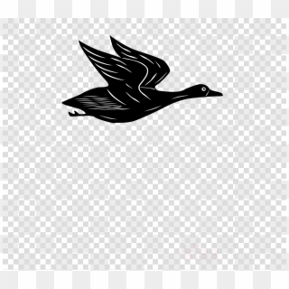 Cartoon Flying Duck Gif Clipart Duck Mallard Clip Art - Clipart Transparent Background Airplanes, HD Png Download