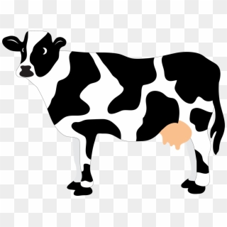 And Svg Cow - Cow Svg, HD Png Download