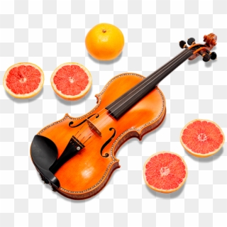 Insure Musical Instruments, HD Png Download