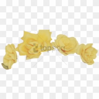 Tumblr Transparent Flower Crown Png Image With Transparent - Maple, Png Download