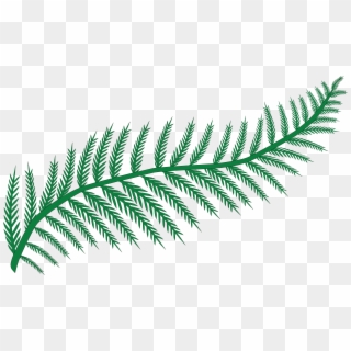 Free Clipart Of A Fern - Transparent Background Fern Clipart, HD Png Download