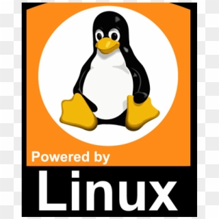 Logo Tux Linux Penguin, HD Png Download