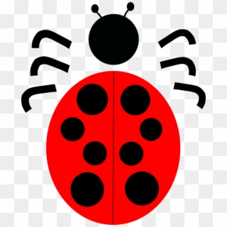 Red Bug Png - Ladybird Beetle, Transparent Png