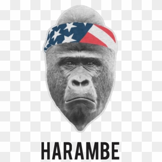 Harambe Headband - Harambe Meme With Transparent Background, HD Png Download