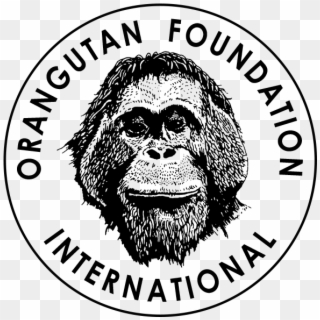 Orangutan Foundation International, HD Png Download