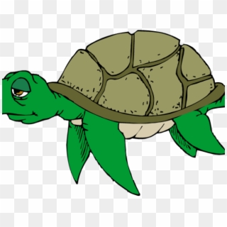 Clipart Of The Day - Turtle Clip Art, HD Png Download