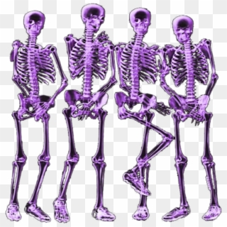 #mq #pink #skeleton #skeletons #bones - Skeleton, HD Png Download