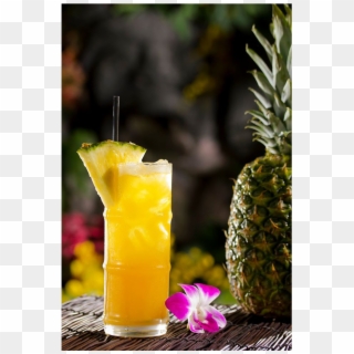 Don The Beachcomber, Los Angeles - Mai Tai, HD Png Download