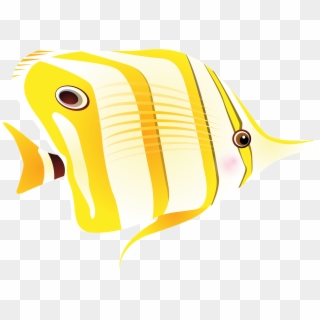 Fish Tropical Fish Sea Png Image - Tropical Fish, Transparent Png