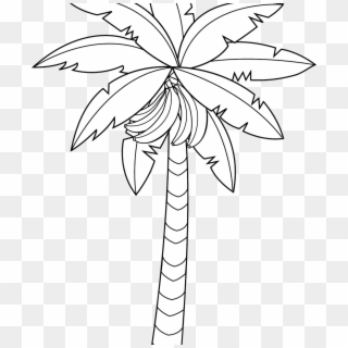 Banana Tree Drawing Outstanding Vector Hand Of In Large - Drawing, HD Png Download