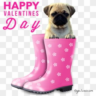 3 Kbytes, Photo - Happy Valentines Day With Dogs, HD Png Download