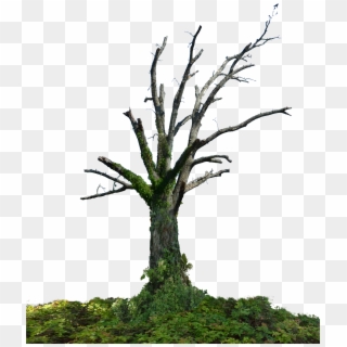 Screen Pixel, On The Desktop Picture, - Dead Tree Png Hd, Transparent Png