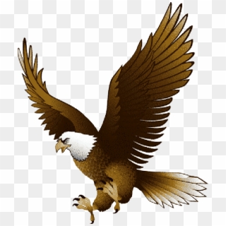590 X 686 3 0 - Eagle Clipart, HD Png Download