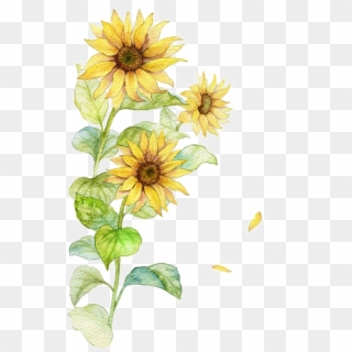 Postimage - Png Yellow Watercolor Flowers, Transparent Png