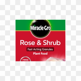 Miracle-gro® Rose & Shrub Fast Acting Granules Plant - Food, HD Png Download