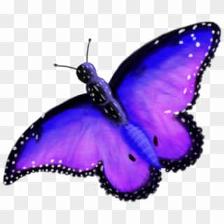 Purple By Enchantedbluedragon - Enchanted Butterfly Transparent, HD Png Download
