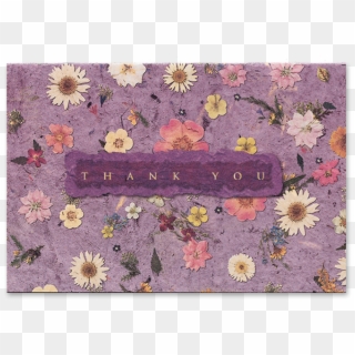 Mixed Wildflower Thank You Cards - Gerbera, HD Png Download