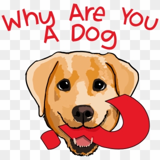 Why Are You A Dog On Apple Podcasts - You A Dog, HD Png Download