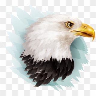 Eagle Illustration, HD Png Download