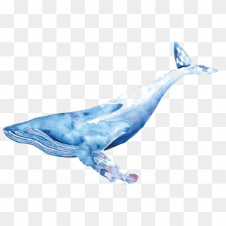 Collection Of Free Whale Drawing Ink Download - Watercolor Whale Transparent, HD Png Download